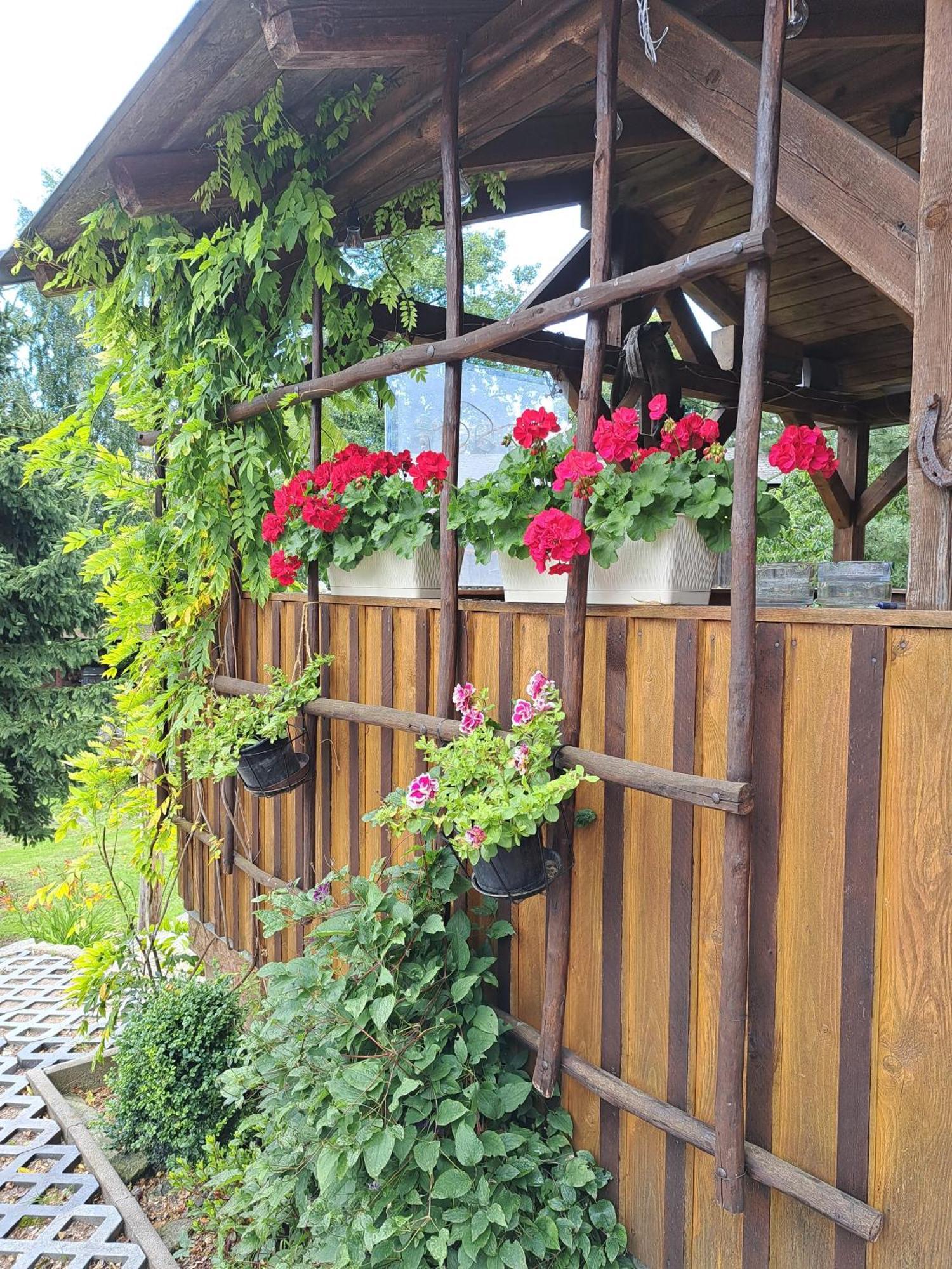 Penzion U Suchanku Mezimesti Exterior photo